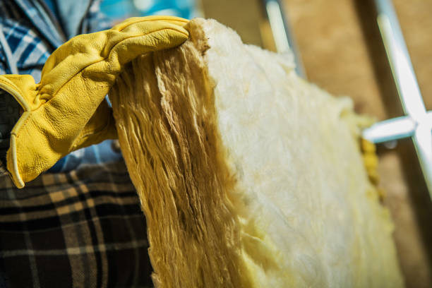 Best Insulation Maintenance and Repair in Mcmechen, WV