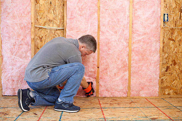 Best Residential Insulation in Mcmechen, WV